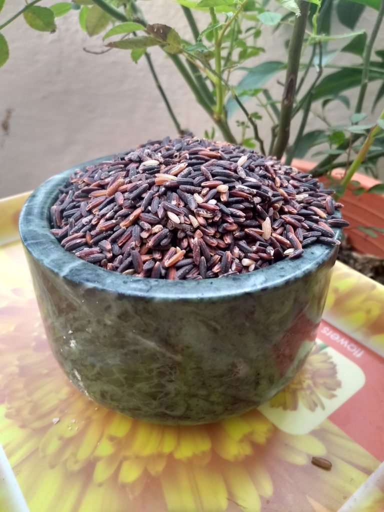 Black Rice – A quick look at  Black Rice benefits, Cooking And More